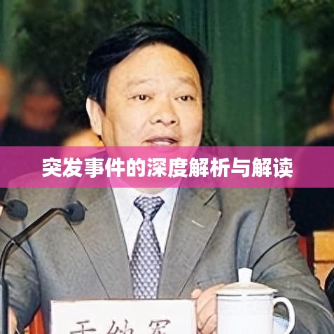 突发事件的深度解析与解读