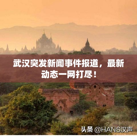 武汉突发新闻事件报道，最新动态一网打尽！