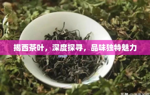 揭西茶叶，深度探寻，品味独特魅力