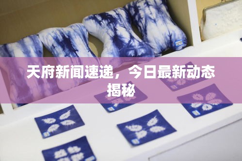 天府新闻速递，今日最新动态揭秘