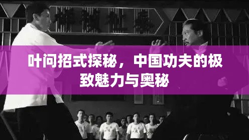 叶问招式探秘，中国功夫的极致魅力与奥秘