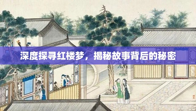 深度探寻红楼梦，揭秘故事背后的秘密