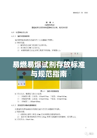 易燃易爆试剂存放标准与规范指南
