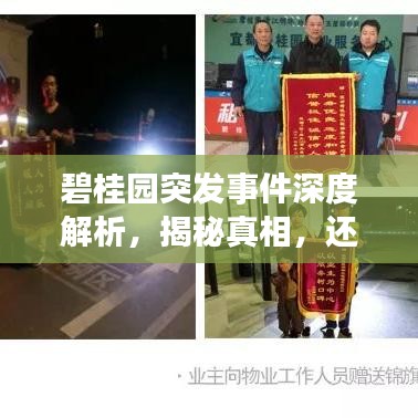 碧桂园突发事件深度解析，揭秘真相，还原事实全貌