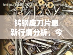 钨钢废刀片最新行情分析，今日价格走势揭秘