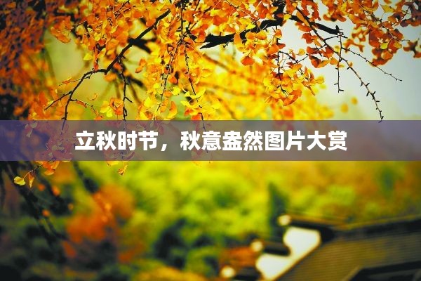 立秋时节，秋意盎然图片大赏
