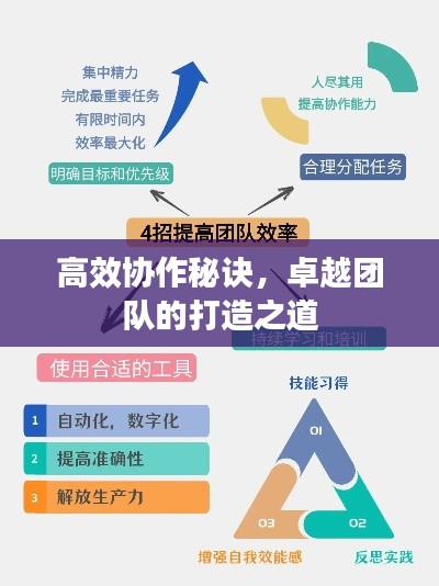 高效协作秘诀，卓越团队的打造之道