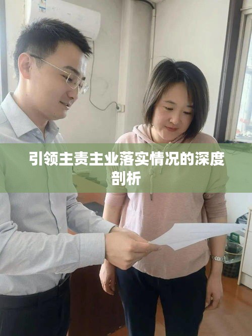 引领主责主业落实情况的深度剖析