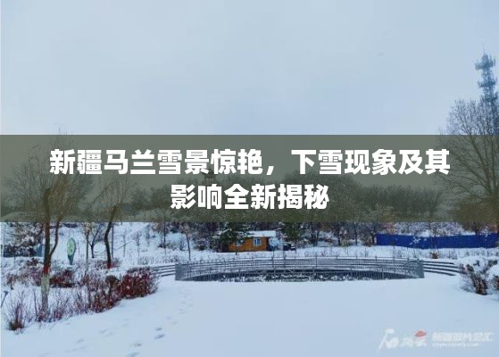新疆马兰雪景惊艳，下雪现象及其影响全新揭秘