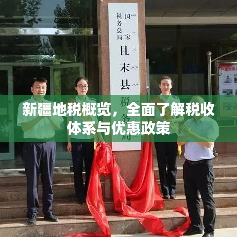 新疆地税概览，全面了解税收体系与优惠政策