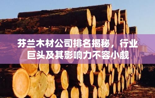 芬兰木材公司排名揭秘，行业巨头及其影响力不容小觑