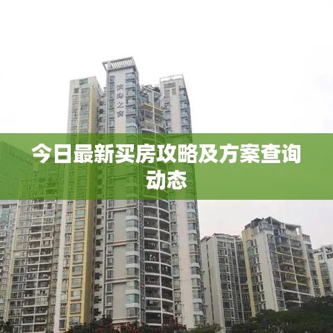 今日最新买房攻略及方案查询动态
