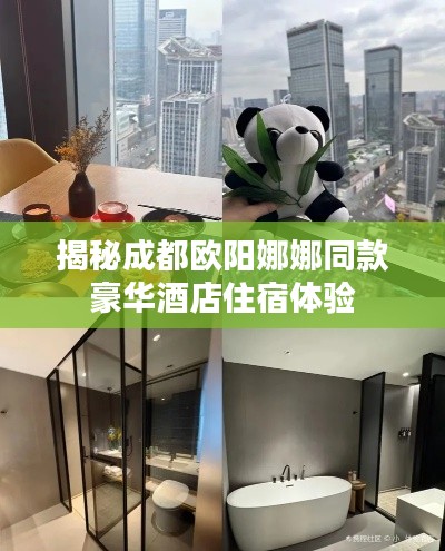 揭秘成都欧阳娜娜同款豪华酒店住宿体验