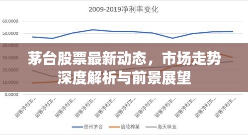 茅台股票最新动态，市场走势深度解析与前景展望
