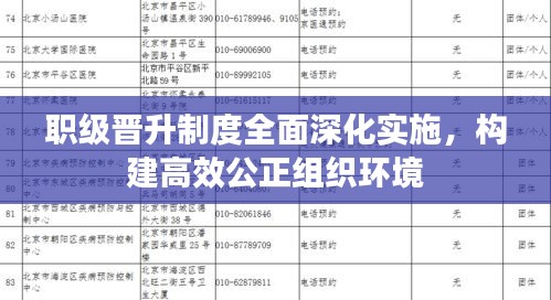 职级晋升制度全面深化实施，构建高效公正组织环境