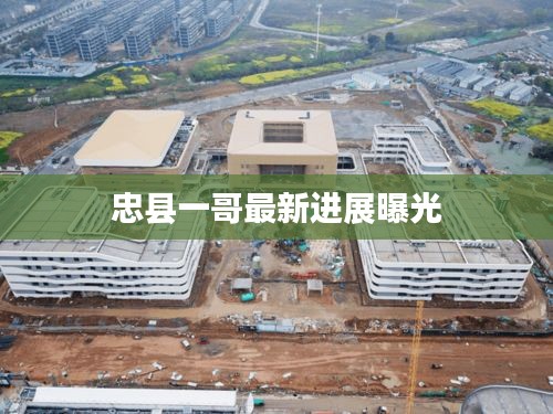 忠县一哥最新进展曝光