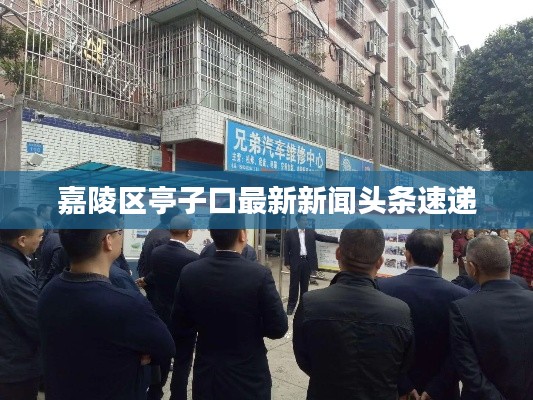 嘉陵区亭子口最新新闻头条速递