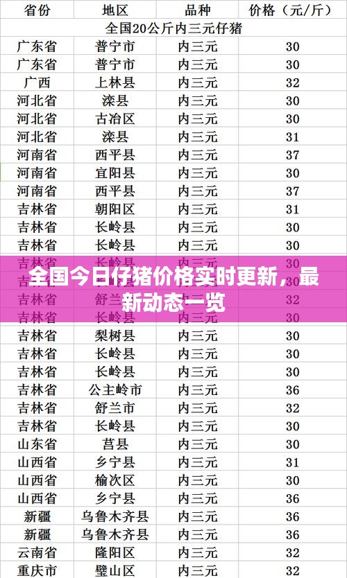 全国今日仔猪价格实时更新，最新动态一览