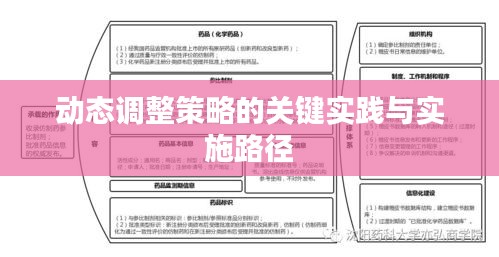 动态调整策略的关键实践与实施路径