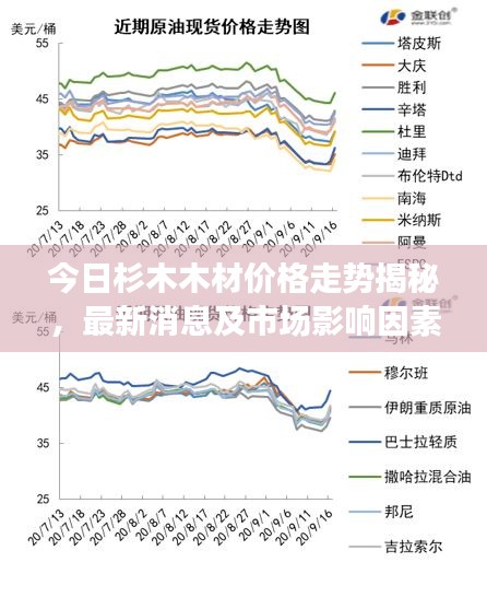 今日杉木木材价格走势揭秘，最新消息及市场影响因素分析