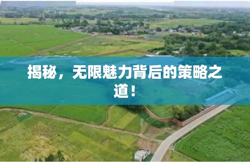 揭秘，无限魅力背后的策略之道！