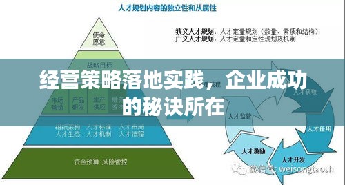 经营策略落地实践，企业成功的秘诀所在
