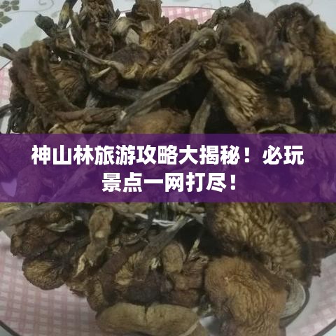 神山林旅游攻略大揭秘！必玩景点一网打尽！