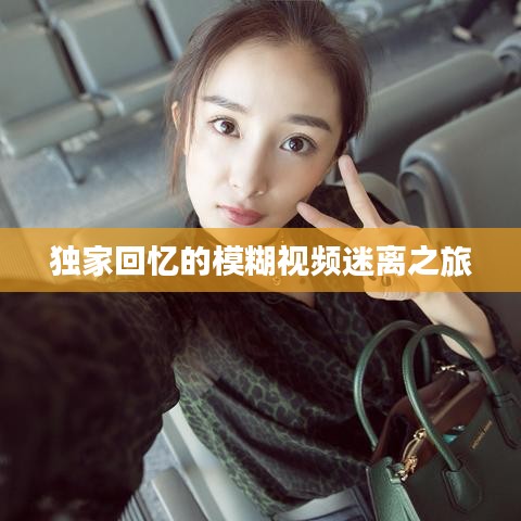 独家回忆的模糊视频迷离之旅