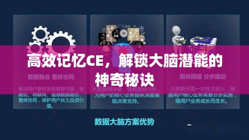 高效记忆CE，解锁大脑潜能的神奇秘诀