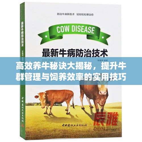 高效养牛秘诀大揭秘，提升牛群管理与饲养效率的实用技巧