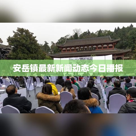安岳镇最新新闻动态今日播报