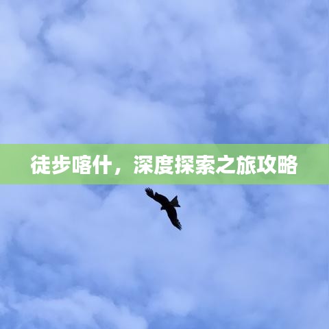 蛙鸣鼓吹 第2页