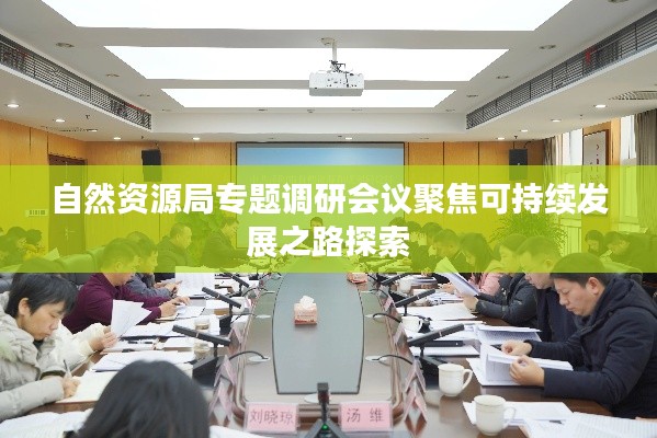 自然资源局专题调研会议聚焦可持续发展之路探索