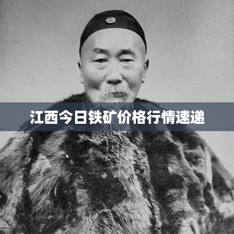 江西今日铁矿价格行情速递