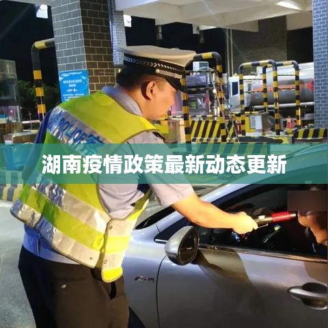 湖南疫情政策最新动态更新