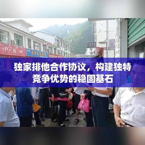 独家排他合作协议，构建独特竞争优势的稳固基石