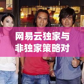 网易云独家与非独家策略对比，音乐平台策略选择解析