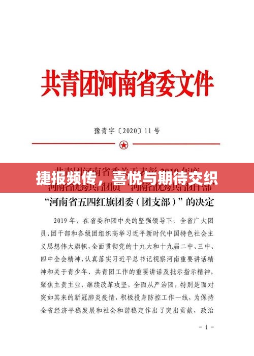 捷报频传，喜悦与期待交织