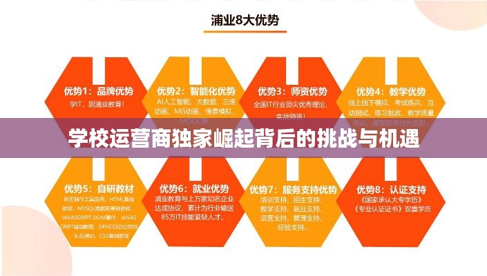 学校运营商独家崛起背后的挑战与机遇