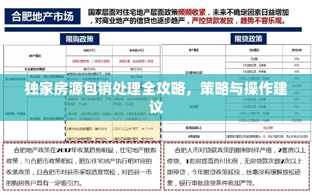 独家房源包销处理全攻略，策略与操作建议