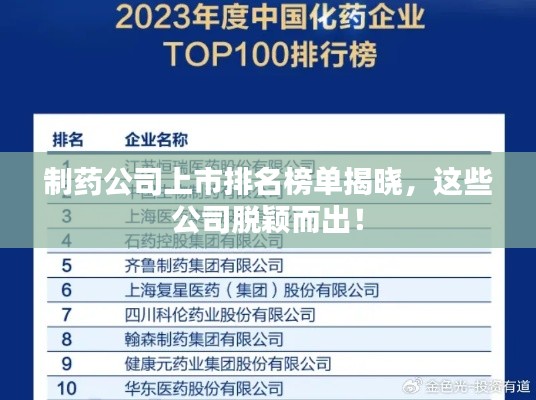 制药公司上市排名榜单揭晓，这些公司脱颖而出！
