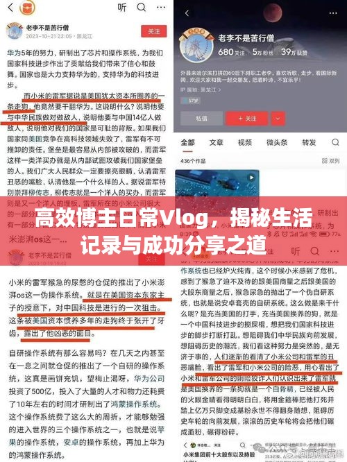 敷衍了事