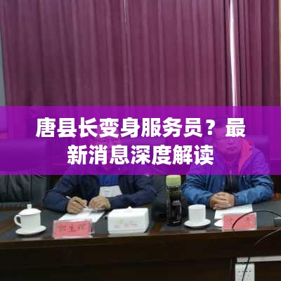 鸟云之阵