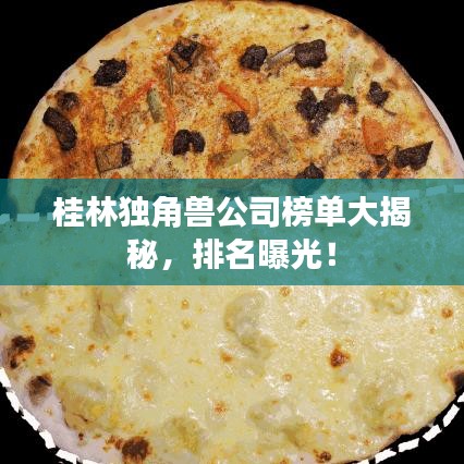 桂林独角兽公司榜单大揭秘，排名曝光！
