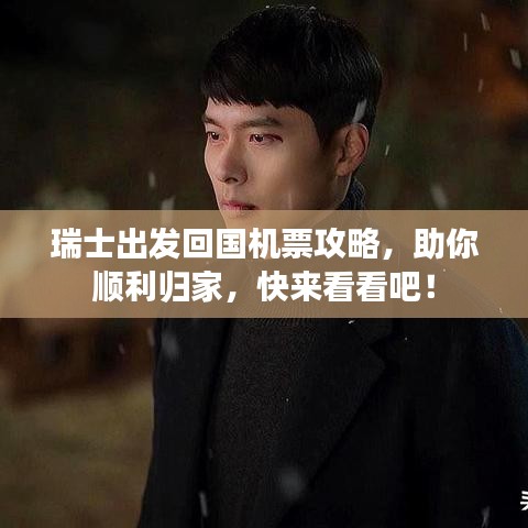瑞士出发回国机票攻略，助你顺利归家，快来看看吧！