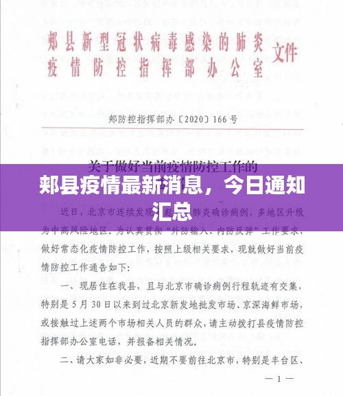 郏县疫情最新消息，今日通知汇总