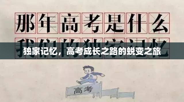 独家记忆，高考成长之路的蜕变之旅
