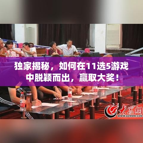 独家揭秘，如何在11选5游戏中脱颖而出，赢取大奖！