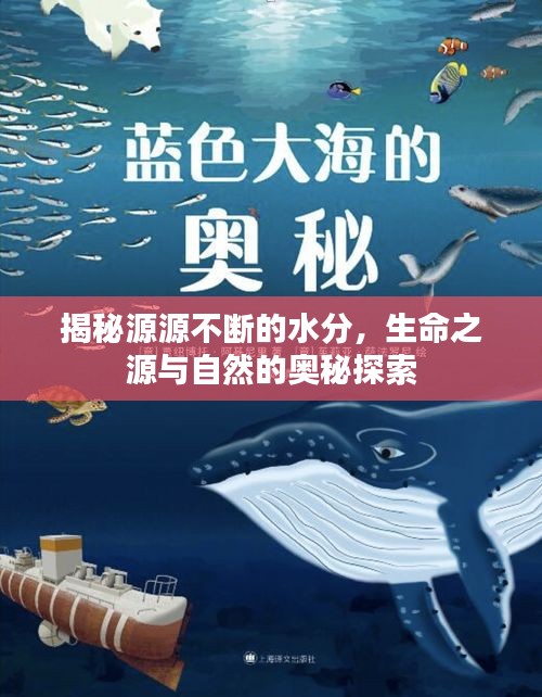 揭秘源源不断的水分，生命之源与自然的奥秘探索