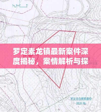 罗定素龙镇最新案件深度揭秘，案情解析与探讨
